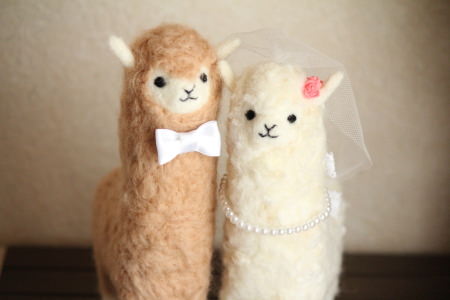 アルパカのウェルカムドール